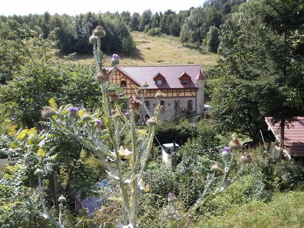 Zbojna Debra Bed and Breakfast Golejów Εξωτερικό φωτογραφία
