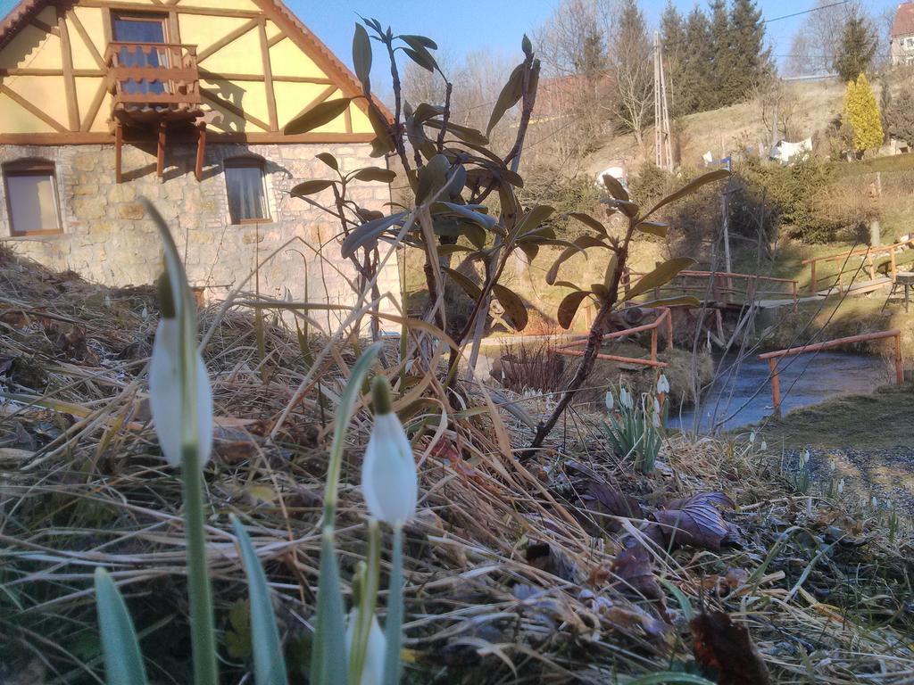 Zbojna Debra Bed and Breakfast Golejów Δωμάτιο φωτογραφία